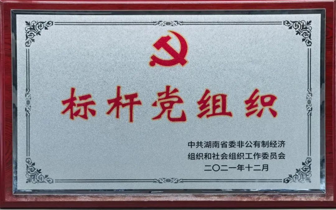 党建品牌亮起来！安博官网体育(中国)有限公司官网
智能党委获评“标杆党组织”
