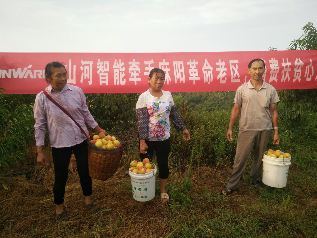 点赞！安博官网体育(中国)有限公司官网
智能成功入选“上市公司乡村振兴优秀实践案例”